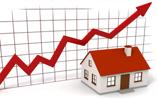 Free Market Analysis