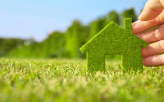 Property & Land